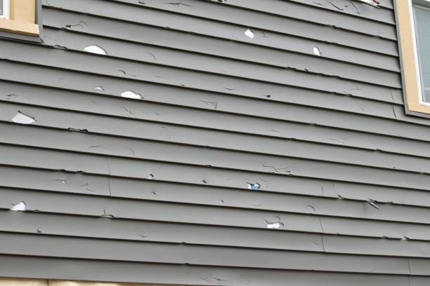 Best Siding for New Construction  in Pennside, PA